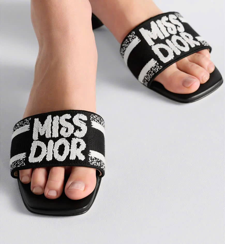 DIOR SLIDES 19