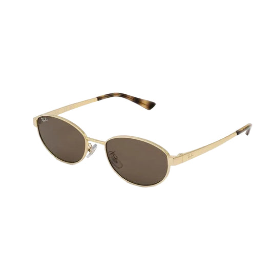 RAYBAN GLASSES 02