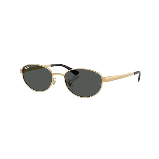 RAYBAN GLASSES 05