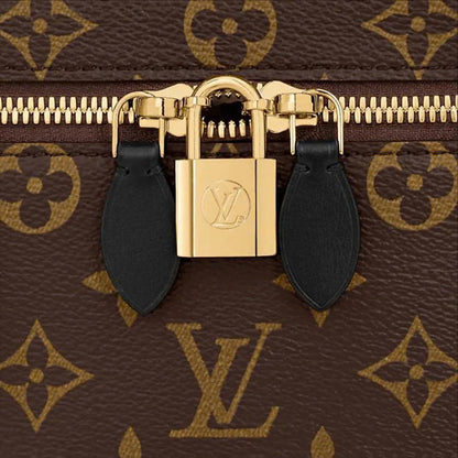 LOUIS VUITTON BAG 04