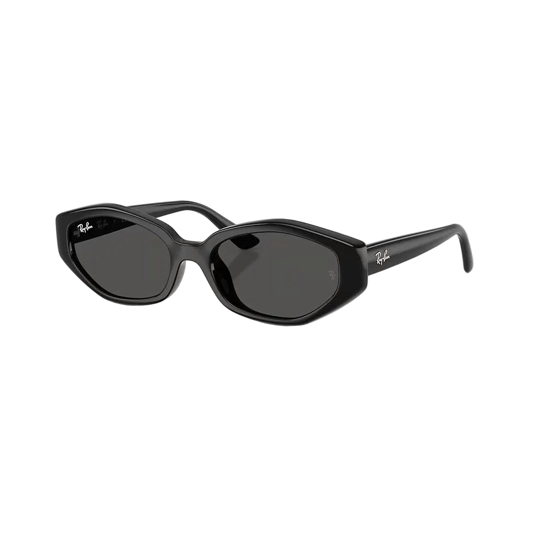 RAYBAN GLASSES 06