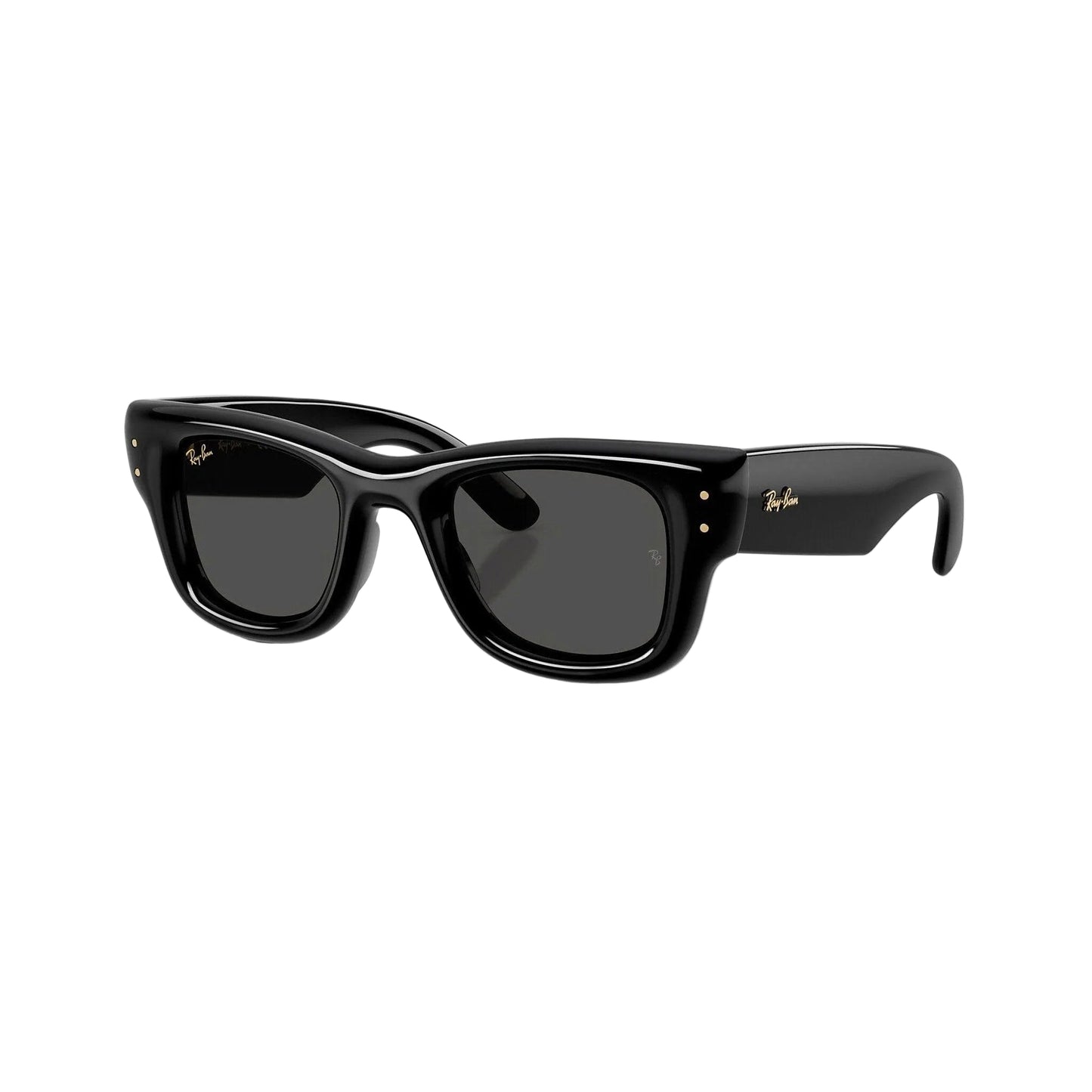 RAYBAN GLASSES 08