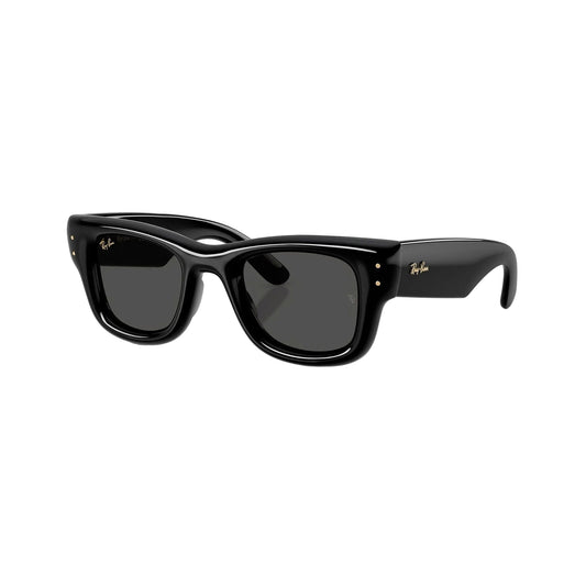 RAYBAN GLASSES 08
