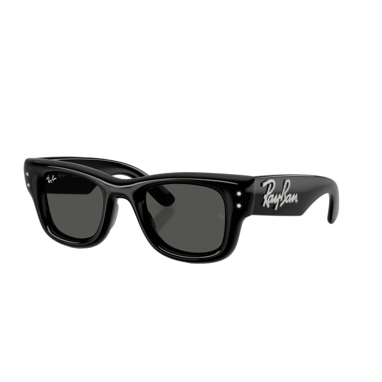 RAYBAN GLASSES 09