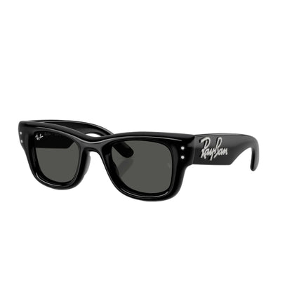 RAYBAN GLASSES 09