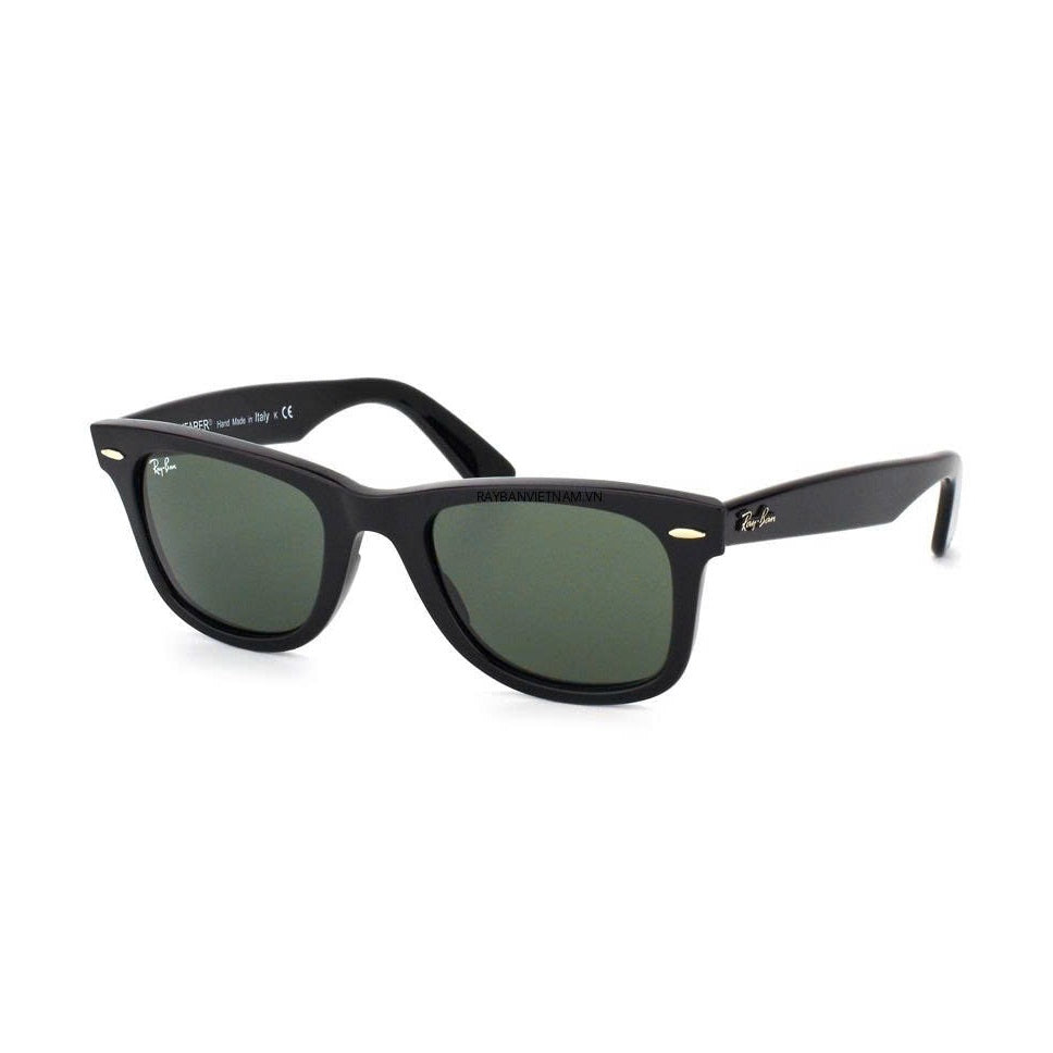 RAYBAN GLASSES 10