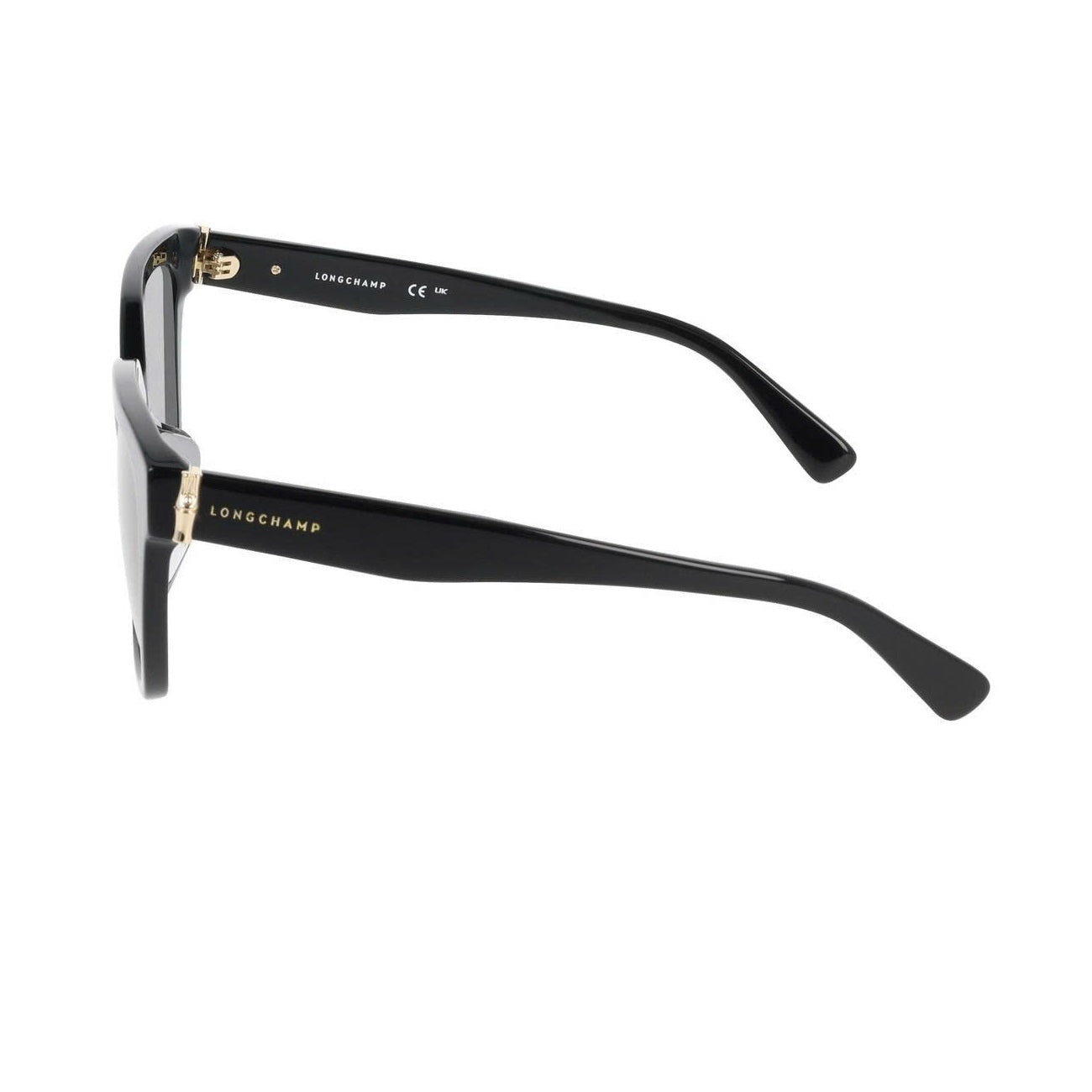 LONGCHAMP GLASSES 05