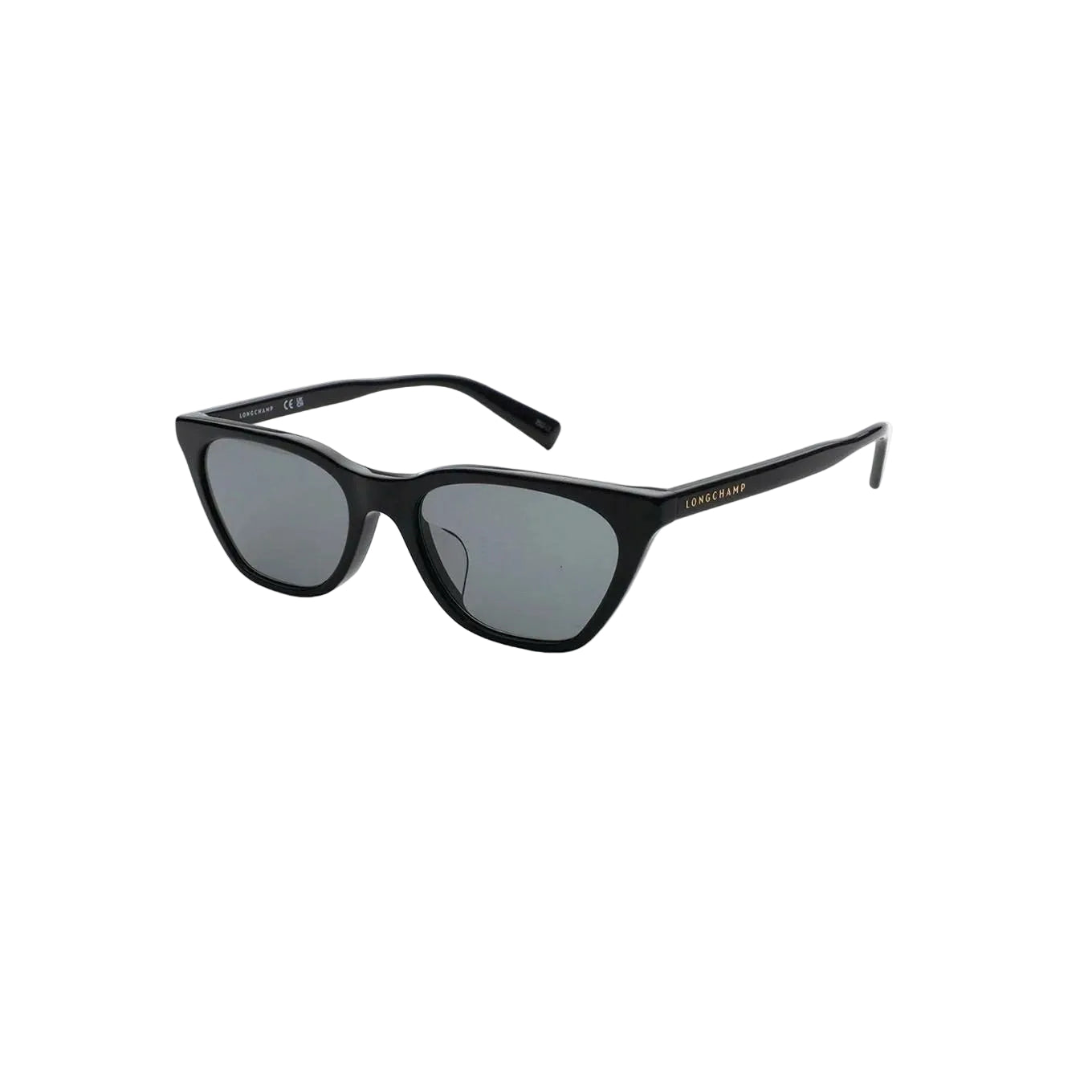 LONGCHAMP GLASSES 04