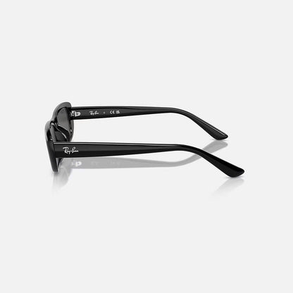 RAYBAN GLASSES 11