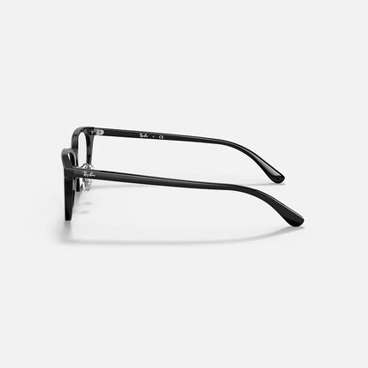 RAYBAN GLASSES 15