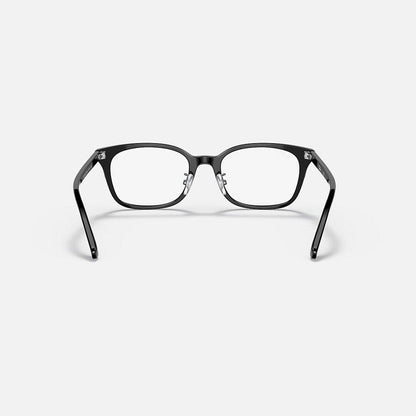RAYBAN GLASSES 15