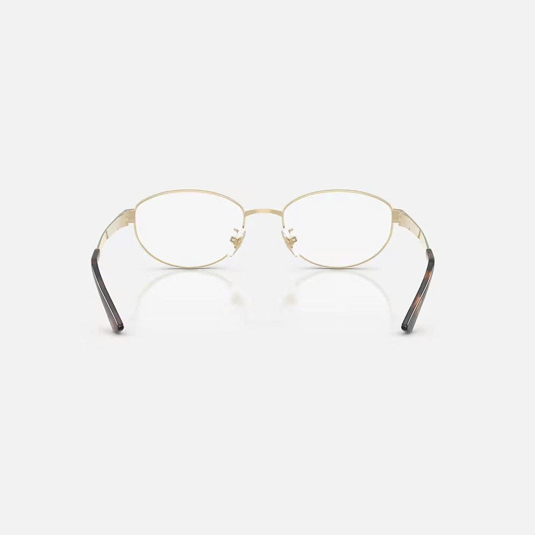 RAYBAN GLASSES 19