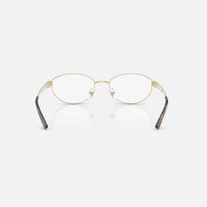 RAYBAN GLASSES 19