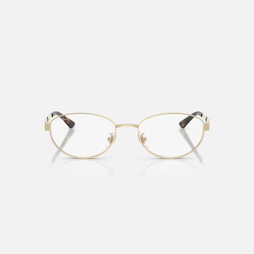 RAYBAN GLASSES 19