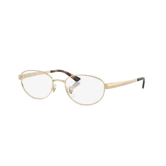 RAYBAN GLASSES 19