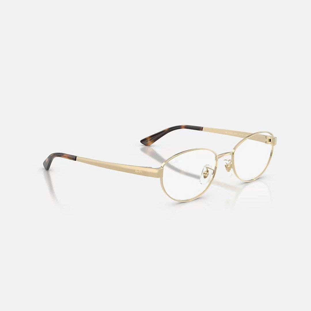 RAYBAN GLASSES 19