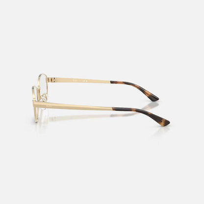 RAYBAN GLASSES 19