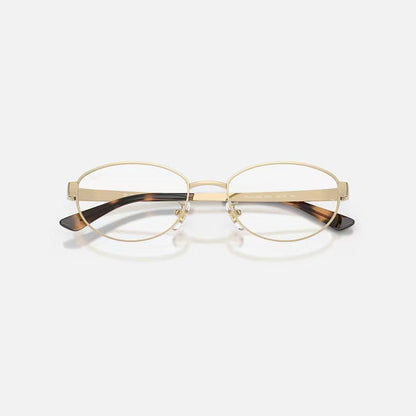 RAYBAN GLASSES 19