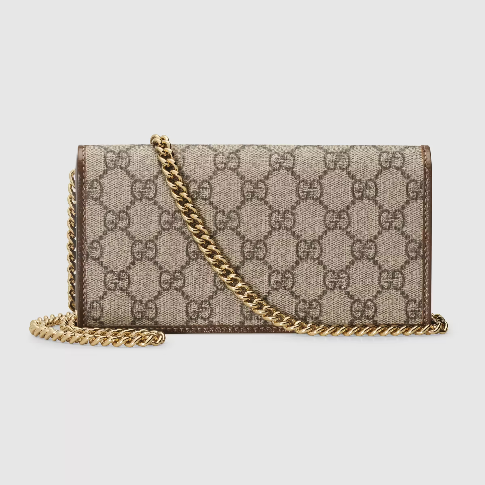 Gucci purse hotsell on chain