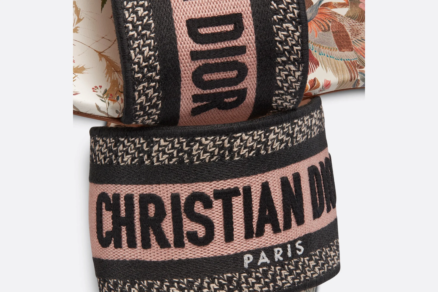 DIOR SLIDES