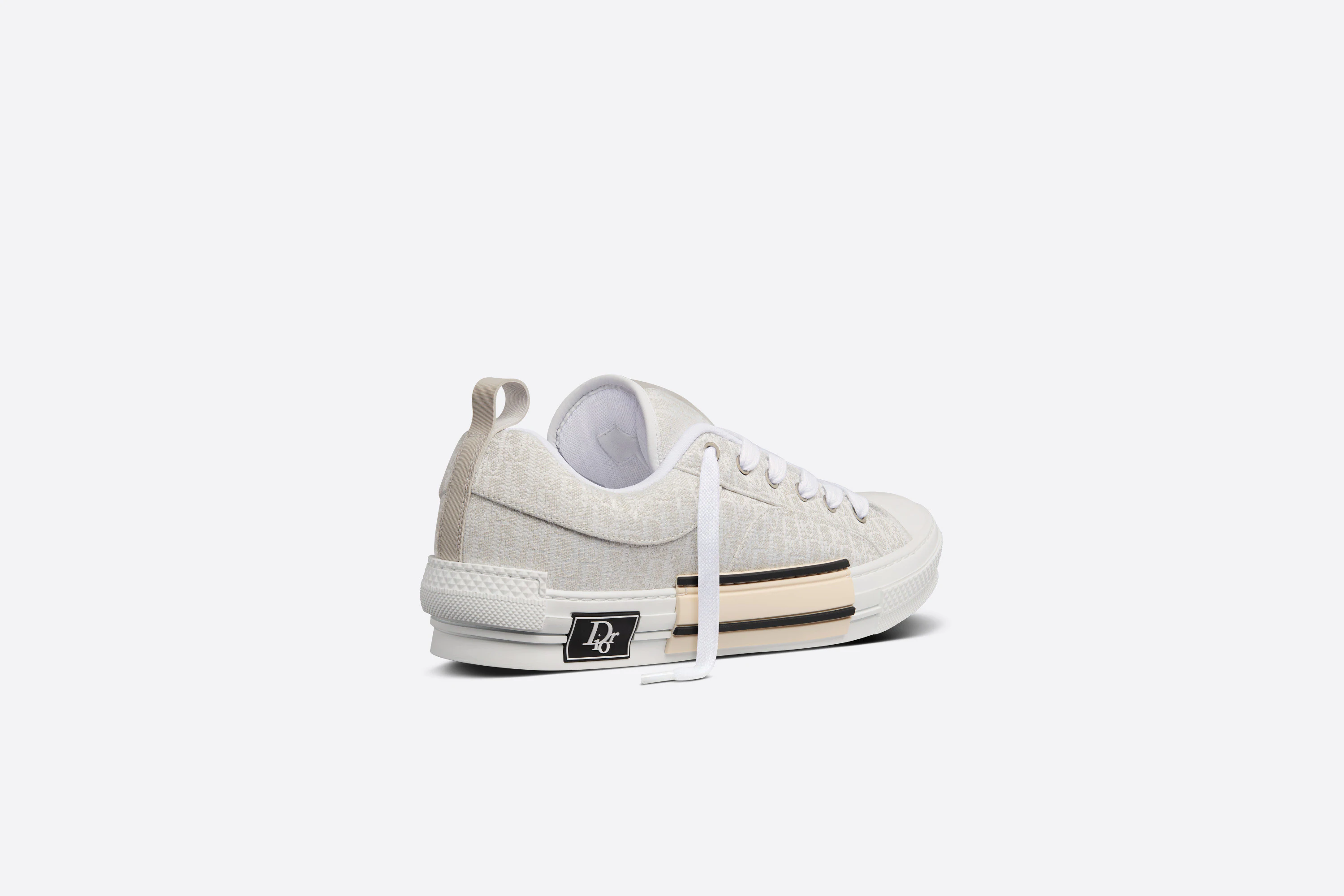 CHRISTIAN DIOR B23 LOWTOP CANVAS WITH DIOR AND SHAWN MOTIF SNEAKER